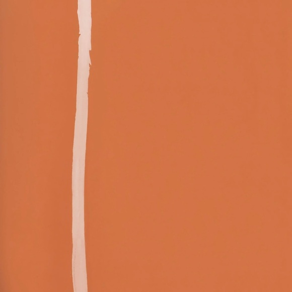 Skims Scoop Neck Latex Bralette - Bronze - Picture 6 of 6